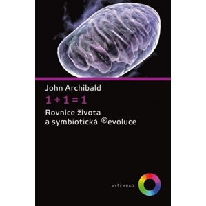 1+1=1 | John Archibald
