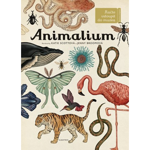 Animalium | Jenny Broomová, Katie Scottová