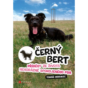 Černý Bert - příběhy ze života nehorázně spokojeného psa | Tomáš Moravec