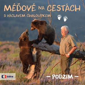 Méďové na cestách PODZIM | Václav Chaloupek