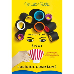 Neviditelný život Euridice Gusmaové | Martin Illek, Martha Batalha
