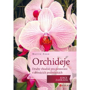 Orchideje - druhy vhodné pro pěstování v domácích podmínkách | Martin Zoun