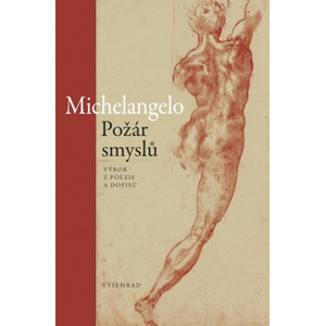 Požár smyslů | Michelangelo