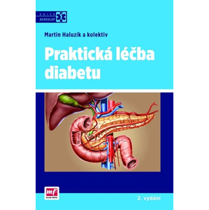 Praktická léčba diabetu | Martin Haluzík
